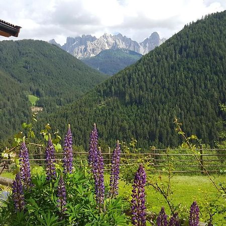 فيلا Kellnerhof نوفا ليفانتي المظهر الخارجي الصورة