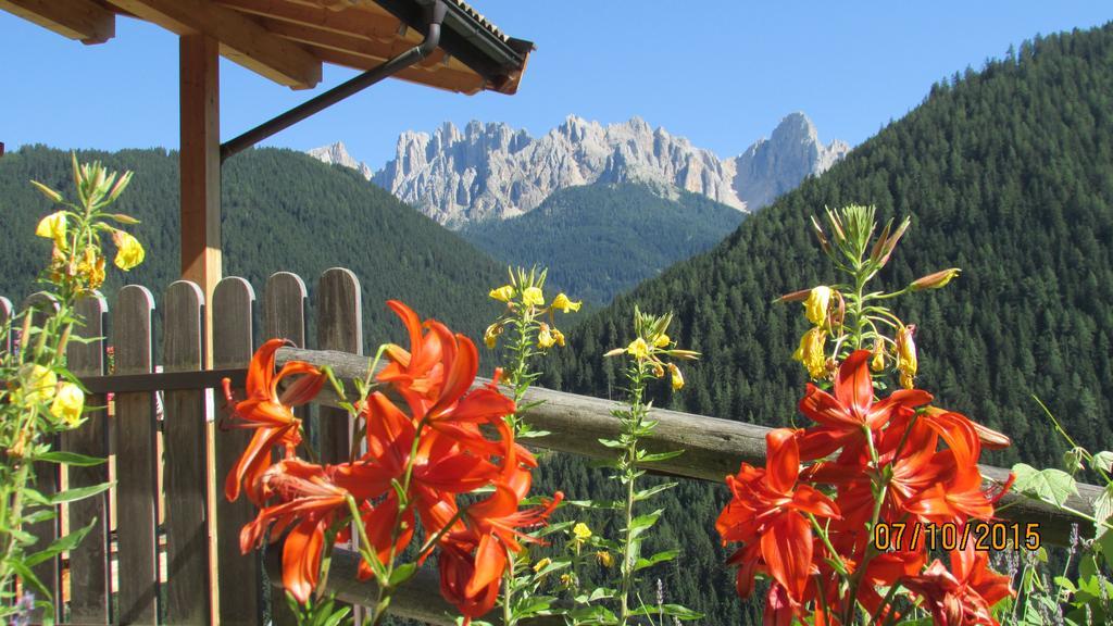فيلا Kellnerhof نوفا ليفانتي المظهر الخارجي الصورة