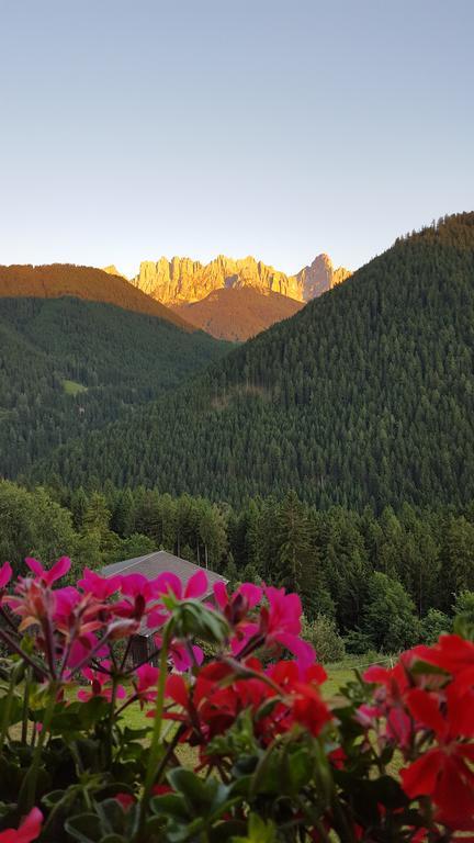 فيلا Kellnerhof نوفا ليفانتي المظهر الخارجي الصورة