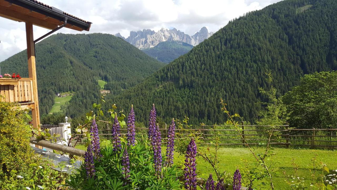 فيلا Kellnerhof نوفا ليفانتي المظهر الخارجي الصورة