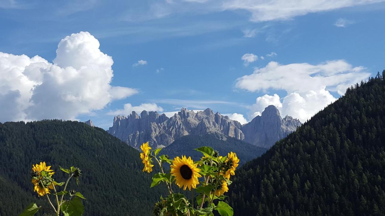 فيلا Kellnerhof نوفا ليفانتي المظهر الخارجي الصورة